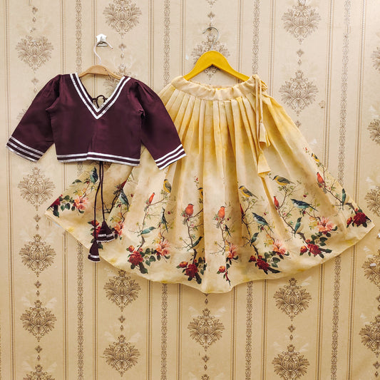 Beautiful Kids Lehenga Choli Dress