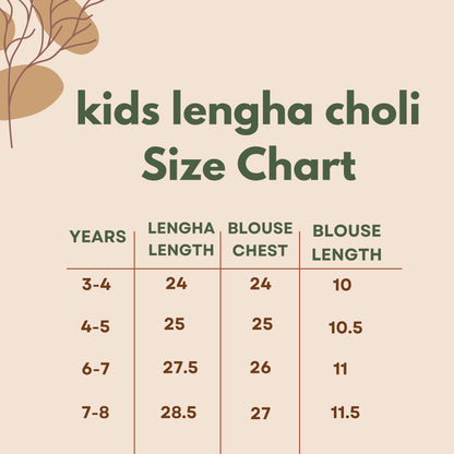 Classic Lehenga Choli Set